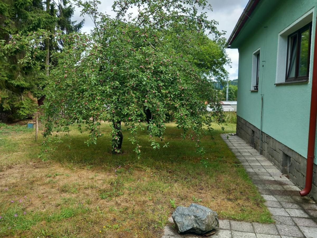 Apartment In The City Of Pilsen Bozkov Zewnętrze zdjęcie
